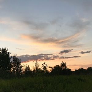 Meet your Posher, Maia